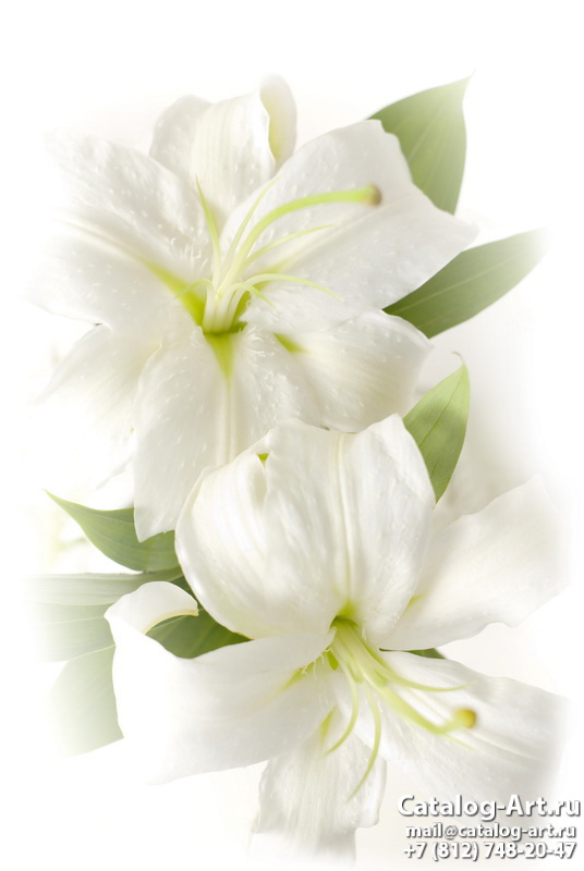 Printing images - White lilies - ceilings design